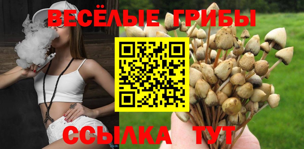 где купить   Псилоцибиновые грибы мухоморы  Сальск  Вход с VPN  Псилоцибиновые грибы Cubensis 