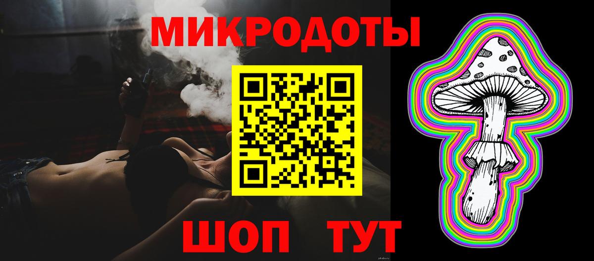 Галлюциногенные грибы Psilocybine cubensis Сальск